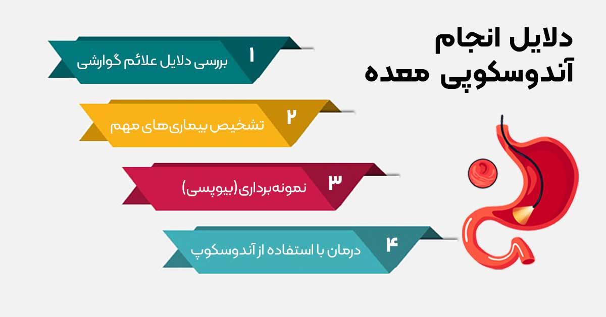 قبل و بعد از آندوسکوپی و کولونوسکوپی چی بخوریم؟